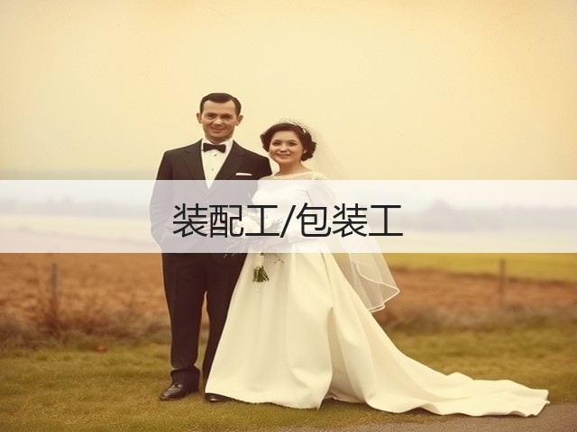 装配工/包装工(图1)
