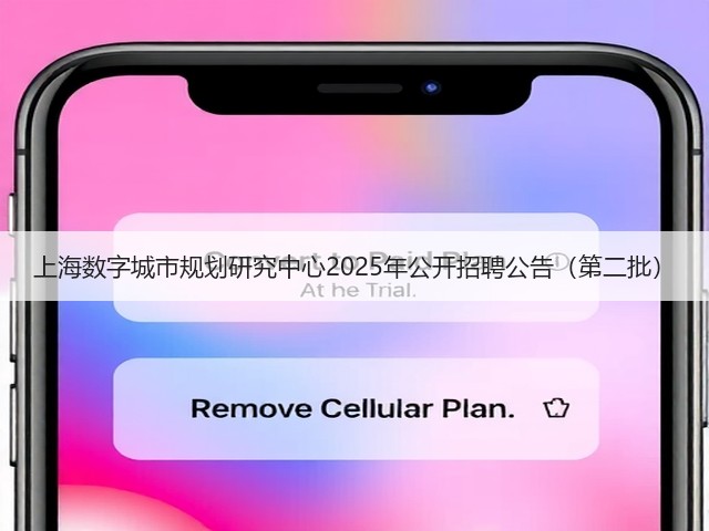 上海数字城市规划研究中心2025年公开招聘公告(第二批)(图3) 上海数字城市规划研究中心2025年公开招聘公告(第二批)(图3)