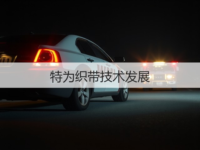 特为织带技术发展(图2) 特为织带技术发展(图2)