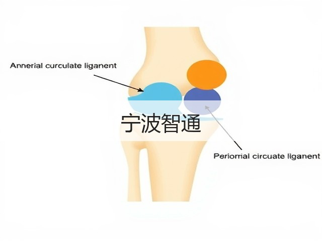 宁波智通(图1) 宁波智通(图1)