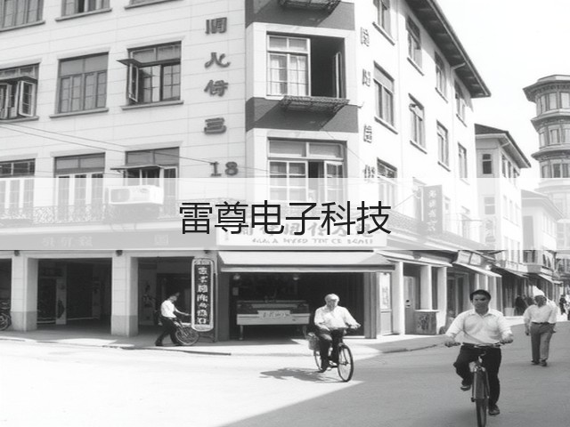 雷尊电子科技(图2)
