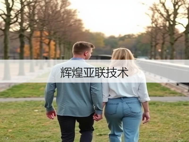 辉煌亚联技术