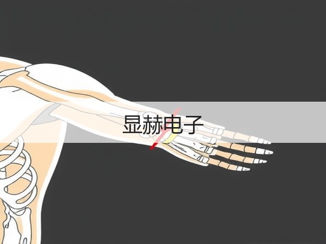 显赫电子(图2)