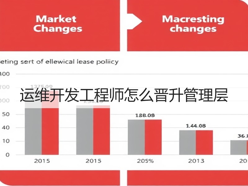 运维开发工程师怎么晋升管理层