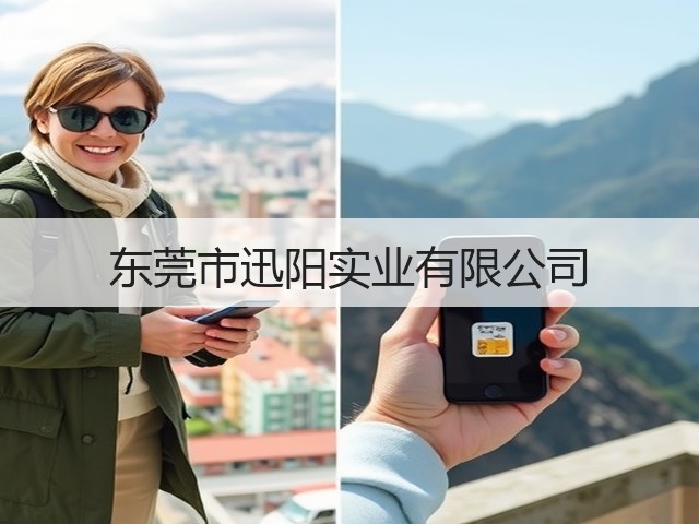 东莞市迅阳实业有限公司(图1)