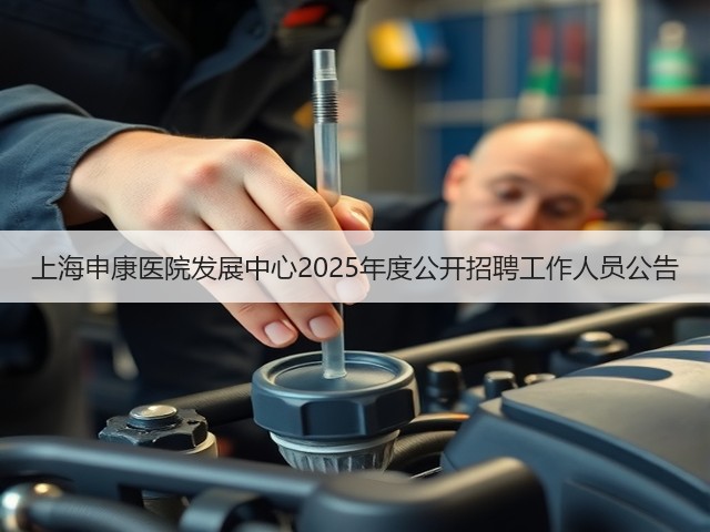 上海申康医院发展中心2025年度公开招聘工作人员公告(图3) 上海申康医院发展中心2025年度公开招聘工作人员公告(图3)
