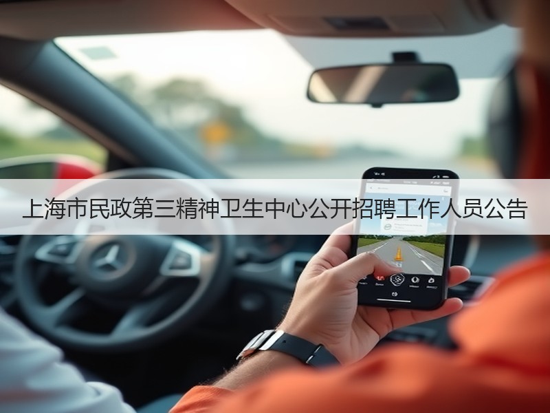 上海市民政第三精神卫生中心公开招聘工作人员公告