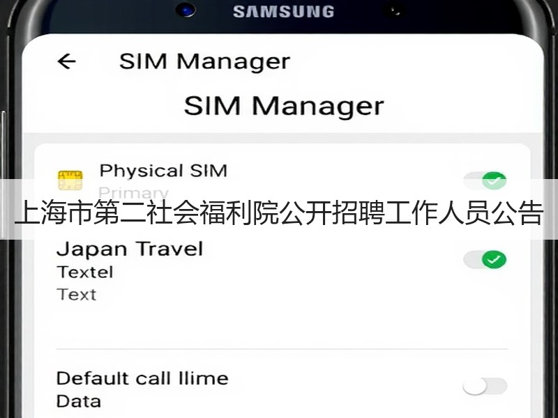 上海市第二社会福利院公开招聘工作人员公告