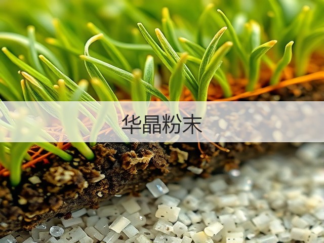 华晶粉末(图2)