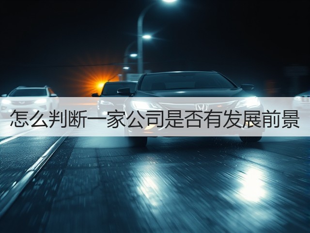 怎么判断一家公司是否有发展前景(图2) 怎么判断一家公司是否有发展前景(图2)