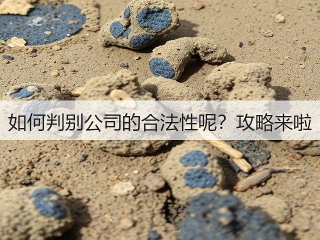 如何判别公司的合法性呢？攻略来啦(图3)
