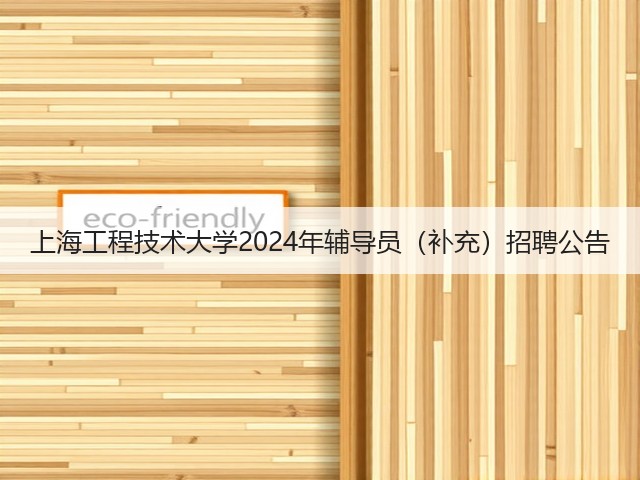 上海工程技术大学2024年辅导员（补充）招聘公告(图3)