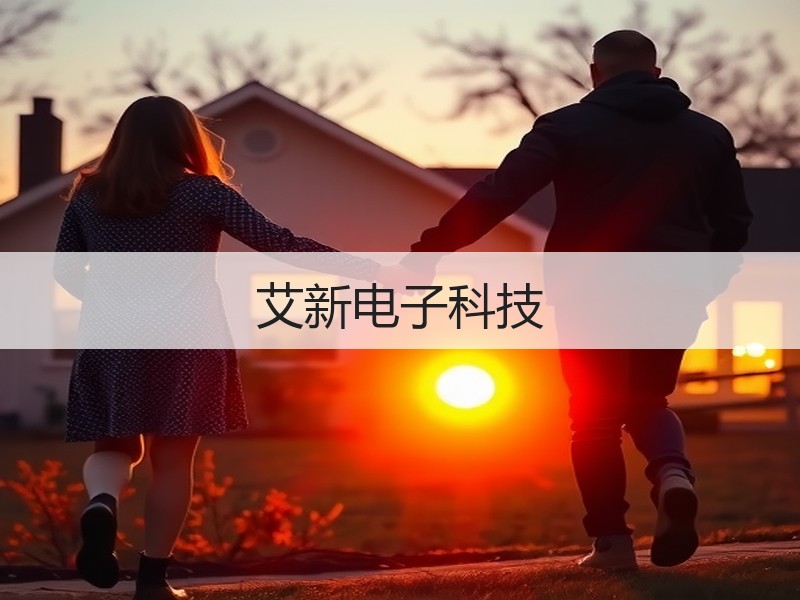 艾新电子科技