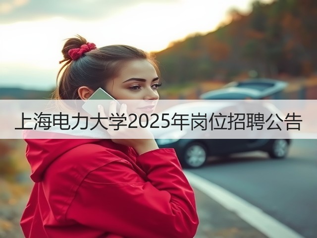 上海电力大学2025年岗位招聘公告(图2)