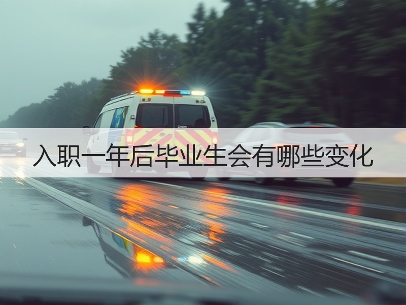 入职一年后毕业生会有哪些变化