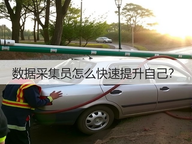 数据采集员怎么快速提升自己?(图2) 数据采集员怎么快速提升自己?(图2)