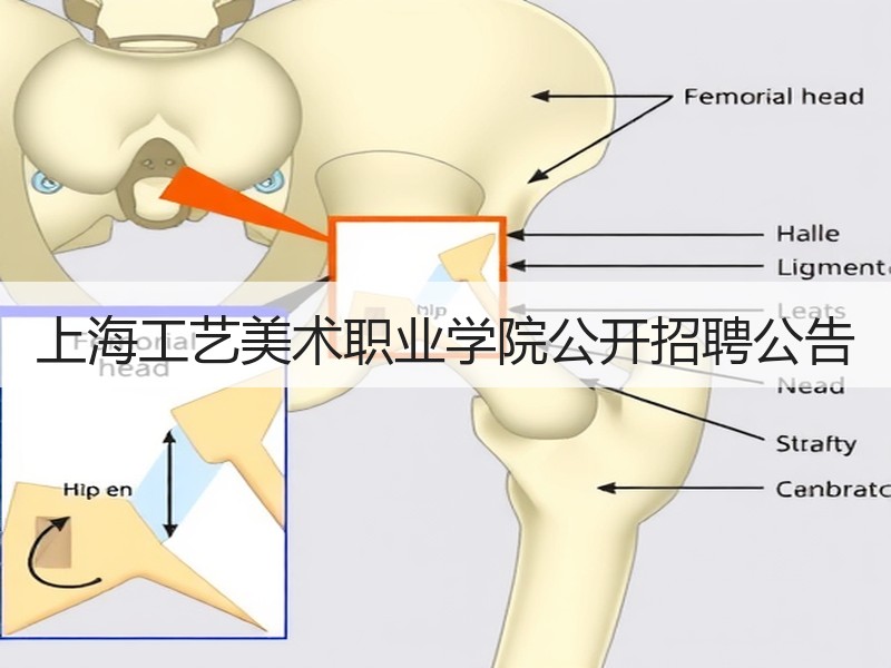 上海工艺美术职业学院公开招聘公告