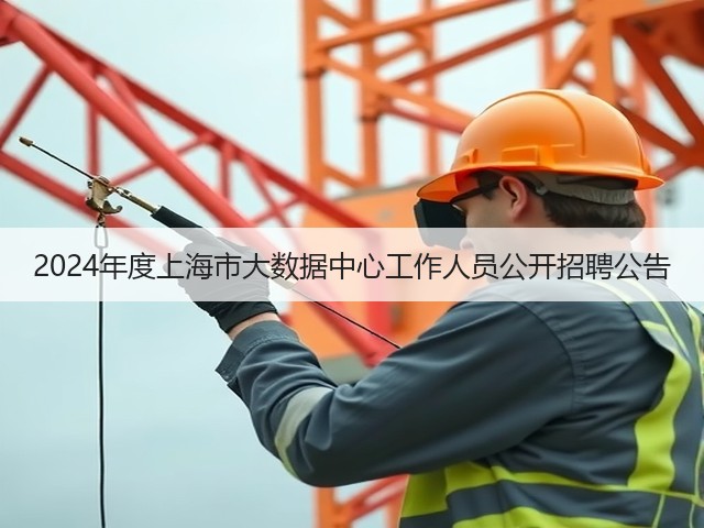 2024年度上海市大数据中心工作人员公开招聘公告(图2)