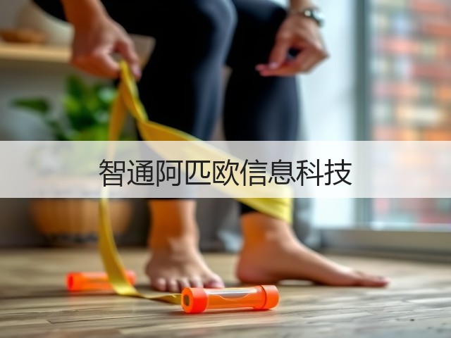 智通阿匹欧信息科技(图2)