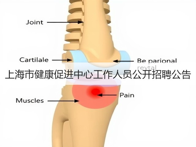 上海市健康促进中心工作人员公开招聘公告(图3) 上海市健康促进中心工作人员公开招聘公告(图3)