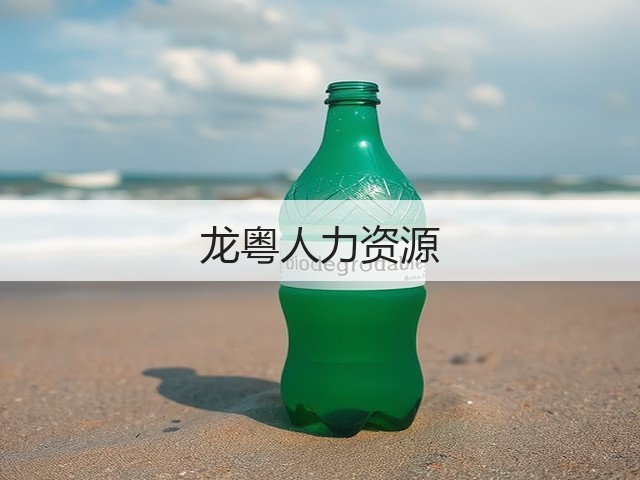 龙粤人力资源(图1)