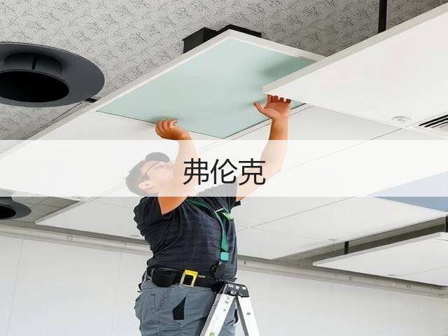 弗伦克(图1) 弗伦克(图1)