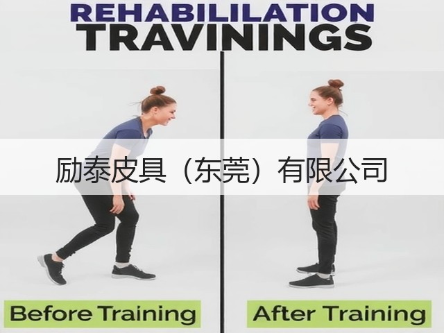 励泰皮具（东莞）有限公司(图1)