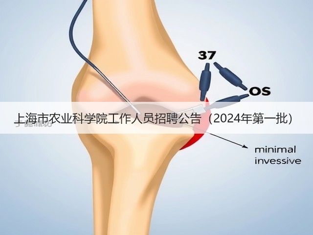 上海市农业科学院工作人员招聘公告(2024年第一批)(图3) 上海市农业科学院工作人员招聘公告(2024年第一批)(图3)