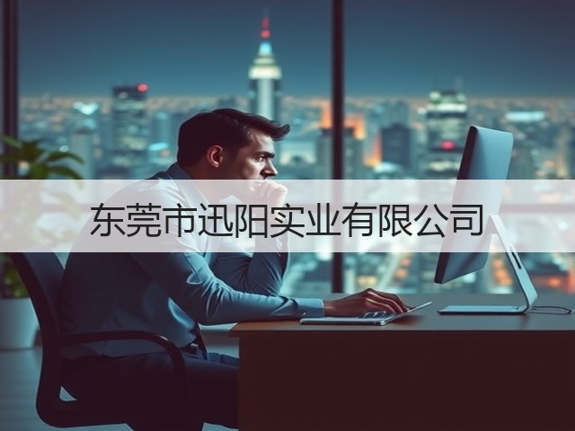 东莞市迅阳实业有限公司(图3)