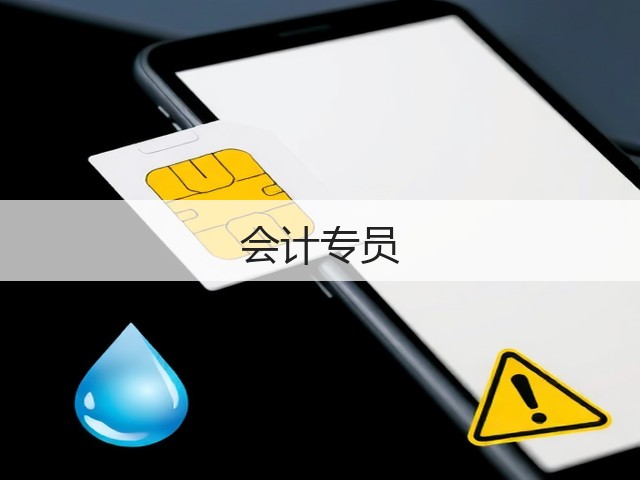 会计专员(图2) 会计专员(图2)