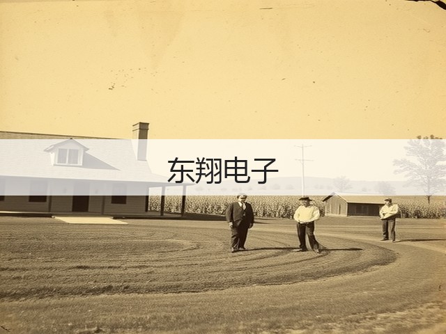 东翔电子(图1)