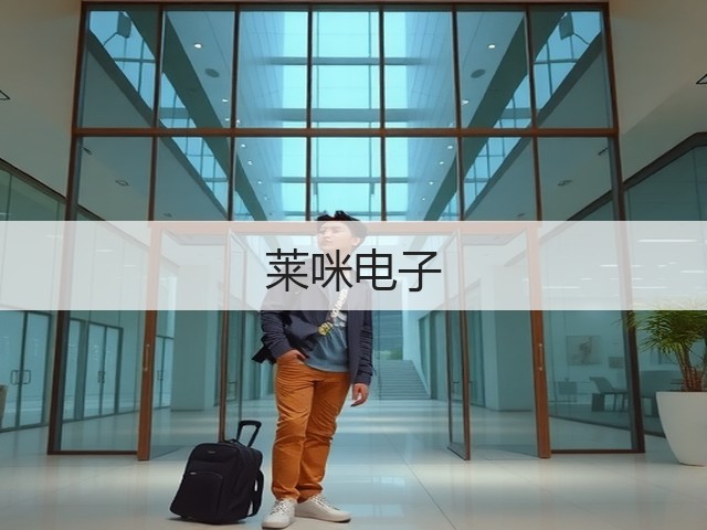 莱咪电子(图1) 莱咪电子(图1)