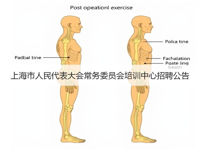 上海市人民代表大会常务委员会培训中心招聘公告(图1)
