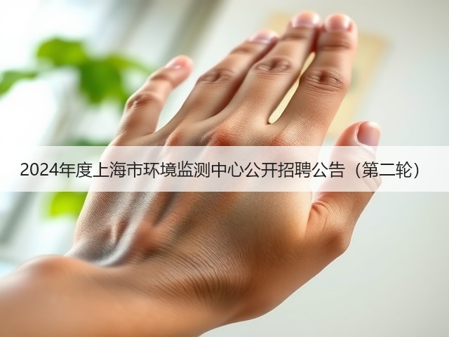 2024年度上海市环境监测中心公开招聘公告(第二轮)(图2) 2024年度上海市环境监测中心公开招聘公告(第二轮)(图2)