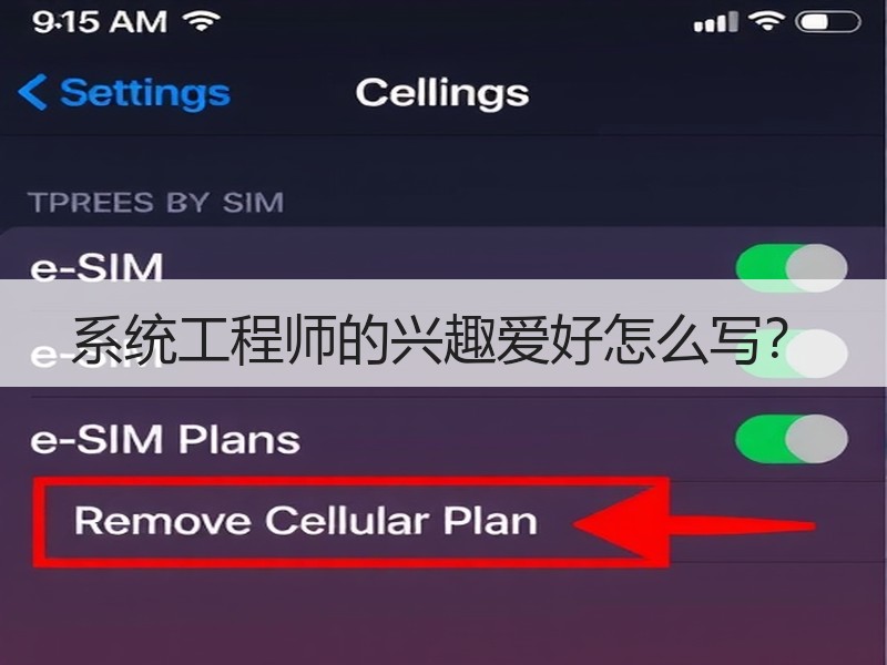 系统工程师的兴趣爱好怎么写？