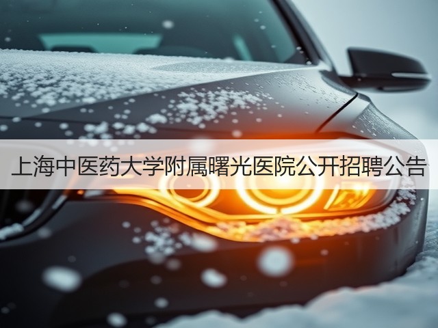 上海中医药大学附属曙光医院公开招聘公告(图2)