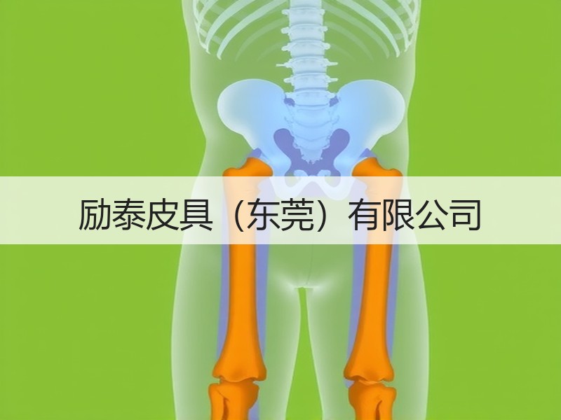 励泰皮具（东莞）有限公司