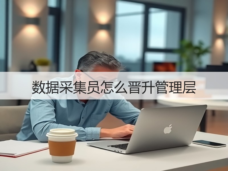 数据采集员怎么晋升管理层