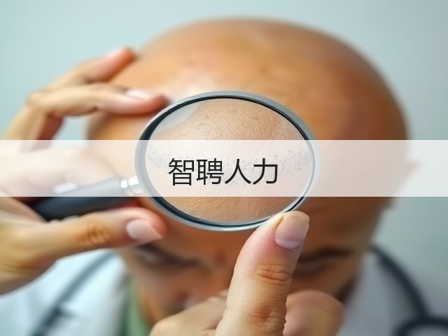 智聘人力(图3) 智聘人力(图3)