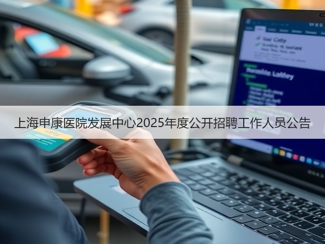 上海申康医院发展中心2025年度公开招聘工作人员公告(图2) 上海申康医院发展中心2025年度公开招聘工作人员公告(图2)